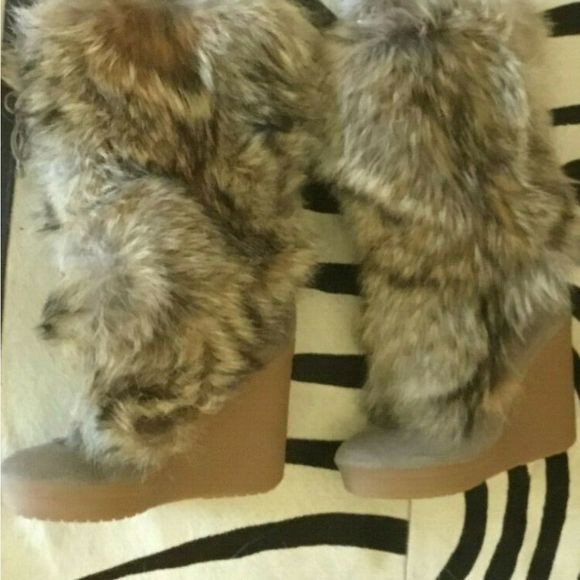 Coyote "Coach" Boots - Picture 1 of 5